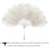 imageBABEYOND Vintage Style Folding Handheld Ostrich Feather Fan 1920s Flapper Accessories BlackWhite