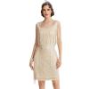 imageBABEYOND 1920s Gatsby Flapper Dress  Long Fringe Sequins ampamp Beaded Art Deco DesignApricot