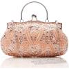 imageBABEYOND Evening Clutch Purses for Women  1920s Accessories for Women Gatsby Evening Bag Vintage Beaded Sequin Pearl PursePink