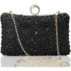 imageBABEYOND Evening Clutch Purses for Women  Vintage Evening Bag Accessories for Women Gatsby 1920s Beaded Sequin ClutchXblack