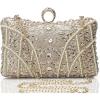 imageBABEYOND Evening Clutch Purses for Women  Vintage Evening Bag Accessories for Women Gatsby 1920s Beaded Sequin ClutchXchampagne