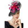 imageBABEYOND Fascinator Feather Hair Clip Tea Party Pillbox Derby Hat Bridal Wedding Veil ABlack
