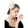 imageBABEYOND Veil Fascinator Hat for Women Peacock Feather Fascinators Hair Clip with Removable Veil Tea Party Hat Bridal WeddingBeige