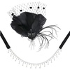 image:imageBABEYOND 1920s Flapper Feather Headpiece Great Gatsby Rhinestone Headband with Hair Clip Vintage Art Deco Party AccessoryBlack