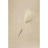 image:imageBABEYOND Fascinator Hair Clip for Women  Tea Party Kentucky Elegant Chic Mesh Feather Flower Bridal Wedding HeadpieceBeige