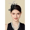 image:imageBABEYOND Fascinator Hair Clip for Women  Tea Party Kentucky Elegant Chic Mesh Feather Flower Bridal Wedding HeadpieceBlack