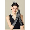 image:imageBABEYOND Fascinator Hair Clip for Women  Tea Party Kentucky Elegant Chic Mesh Feather Flower Bridal Wedding HeadpieceBlack