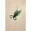 image:imageBABEYOND Fascinator Hair Clip for Women  Tea Party Kentucky Elegant Chic Mesh Feather Flower Bridal Wedding HeadpieceGreen
