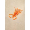 image:imageBABEYOND Fascinator Hair Clip for Women  Tea Party Kentucky Elegant Chic Mesh Feather Flower Bridal Wedding HeadpieceOrange
