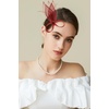 image:imageBABEYOND Fascinator Hair Clip for Women  Tea Party Kentucky Elegant Chic Mesh Feather Flower Bridal Wedding HeadpieceRed