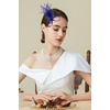 image:imageBABEYOND Fascinator Hair Clip for Women  Tea Party Kentucky Elegant Chic Mesh Feather Flower Bridal Wedding HeadpieceRoyal Blue
