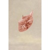 image:imageBABEYOND Fascinators Hats for Women  Tea Party 2026 Kentucky Fascinator Pillbox Derby Hat Sinamay Headband with Hair ClipNude Pink
