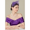image:imageBABEYOND Fascinators Hats for Women  Tea Party Hat Kentucky Elegant Tulle Feather Ribbon Bridal Wedding Derby HeadbandPurple
