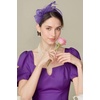 image:imageBABEYOND Fascinators Hats for Women  Tea Party Hat Kentucky Elegant Tulle Feather Ribbon Bridal Wedding Derby HeadbandPurple