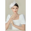 image:imageBABEYOND Fascinators Hats for Women  Tea Party Hats Fascinators Kentucky Tulle Ribbon Derby Headband for Wedding CocktailWhite