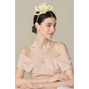 image:imageBABEYOND Fascinators Hats for Women  Tea Party Hats Kentucky Elegant Tulle Feather Bridal Wedding Ribbon Headband Hair ClipBeige