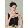 image:imageBABEYOND Fascinators Hats for Women  Tea Party Hats Kentucky Elegant Tulle Feather Bridal Wedding Ribbon Headband Hair ClipBlack