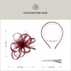image:imageBABEYOND Fascinators Hats for Women  Tea Party Hats Kentucky Elegant Tulle Feather Bridal Wedding Ribbon Headband Hair ClipWine Red