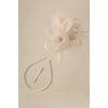image:imageBABEYOND Fascinators Hats for Women  Tea Party Hats Kentucky Elegant Tulle Mesh Feather Bridal Wedding Headband Hair ClipChampagne