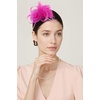 image:imageBABEYOND Fascinators Hats for Women  Tea Party Hats Kentucky Elegant Tulle Mesh Feather Bridal Wedding Headband Hair ClipHot Pink