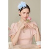image:imageBABEYOND Fascinators Hats for Women  Tea Party Hats Kentucky Elegant Tulle Mesh Feather Bridal Wedding Headband Hair ClipLight Blue