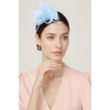 image:imageBABEYOND Fascinators Hats for Women  Tea Party Hats Kentucky Elegant Tulle Mesh Feather Bridal Wedding Headband Hair ClipLight Blue