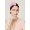 image:imageBABEYOND Fascinators Hats for Women  Tea Party Hats Kentucky Elegant Tulle Mesh Feather Bridal Wedding Headband Hair ClipLight Pink