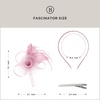 image:imageBABEYOND Fascinators Hats for Women  Tea Party Hats Kentucky Elegant Tulle Mesh Feather Bridal Wedding Headband Hair ClipLight Pink
