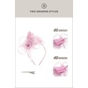 image:imageBABEYOND Fascinators Hats for Women  Tea Party Hats Kentucky Elegant Tulle Mesh Feather Bridal Wedding Headband Hair ClipLight Pink