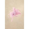 image:imageBABEYOND Fascinators Hats for Women  Tea Party Hats Kentucky Elegant Tulle Mesh Feather Bridal Wedding Headband Hair ClipLight Pink