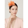 image:imageBABEYOND Fascinators Hats for Women  Tea Party Hats Kentucky Elegant Tulle Mesh Feather Bridal Wedding Headband Hair ClipOrange