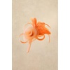 image:imageBABEYOND Fascinators Hats for Women  Tea Party Hats Kentucky Elegant Tulle Mesh Feather Bridal Wedding Headband Hair ClipOrange