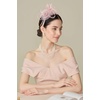 image:imageBABEYOND Fascinators Hats for Women  Tea Party Hats Kentucky Elegant Tulle Mesh Feather Bridal Wedding Headband Hair ClipPink