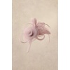 image:imageBABEYOND Fascinators Hats for Women  Tea Party Hats Kentucky Elegant Tulle Mesh Feather Bridal Wedding Headband Hair ClipPink