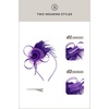 image:imageBABEYOND Fascinators Hats for Women  Tea Party Hats Kentucky Elegant Tulle Mesh Feather Bridal Wedding Headband Hair ClipPurple