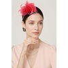 image:imageBABEYOND Fascinators Hats for Women  Tea Party Hats Kentucky Elegant Tulle Mesh Feather Bridal Wedding Headband Hair ClipRed