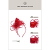 image:imageBABEYOND Fascinators Hats for Women  Tea Party Hats Kentucky Elegant Tulle Mesh Feather Bridal Wedding Headband Hair ClipRed