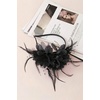 image:imageBABEYOND Fascinators Hats for Women  Tea Party Kentucky Fascinator Derby Hat Feather Beads Headband for Wedding CocktailBlack