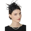 image:imageBABEYOND Fascinators Hats for Women  Tea Party Kentucky Fascinator Derby Hat Feather Beads Headband for Wedding CocktailBlack