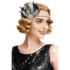image:imageBABEYOND Flapper Headpiece for Women  1920s Headband Roaring 20s Great Gatsby Accessories Rhinestone Feather Hair ClipBlack White