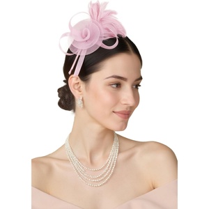 image:imageBABEYOND Fascinators Hats for Women  Tea Party Hats Kentucky Elegant Tulle Mesh Feather Bridal Wedding Headband Hair ClipLight Pink