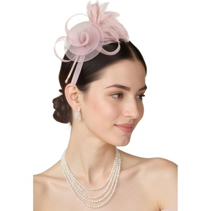 image:imageBABEYOND Fascinators Hats for Women  Tea Party Hats Kentucky Elegant Tulle Mesh Feather Bridal Wedding Headband Hair ClipPink