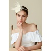 image:imageBABEYOND Fascinator Hat Veil Feather Flower Fascinators Hair Clip Tea Party Pillbox Derby Hat Fascinator Bridal WeddingNbeige