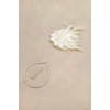 image:imageBABEYOND Fascinator Hat Veil Feather Flower Fascinators Hair Clip Tea Party Pillbox Derby Hat Fascinator Bridal WeddingNbeige
