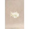 image:imageBABEYOND Fascinator Hat Veil Feather Flower Fascinators Hair Clip Tea Party Pillbox Derby Hat Fascinator Bridal WeddingNbeige