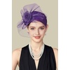 image:imageBABEYOND Fascinators Hats for Women  Tea Party Hat Kentucky Fascinator Derby Flower Mesh Veil Pillbox Hat for Bridal WeddingPurple