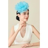 image:imageBABEYOND Fascinators Hats for Women  Tea Party Kentucky Fascinator Hat Lightweight Mesh Peony Flower Headband with Hair ClipLight Blue