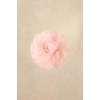 image:imageBABEYOND Fascinators Hats for Women  Tea Party Kentucky Fascinator Hat Lightweight Mesh Peony Flower Headband with Hair ClipLight Pink